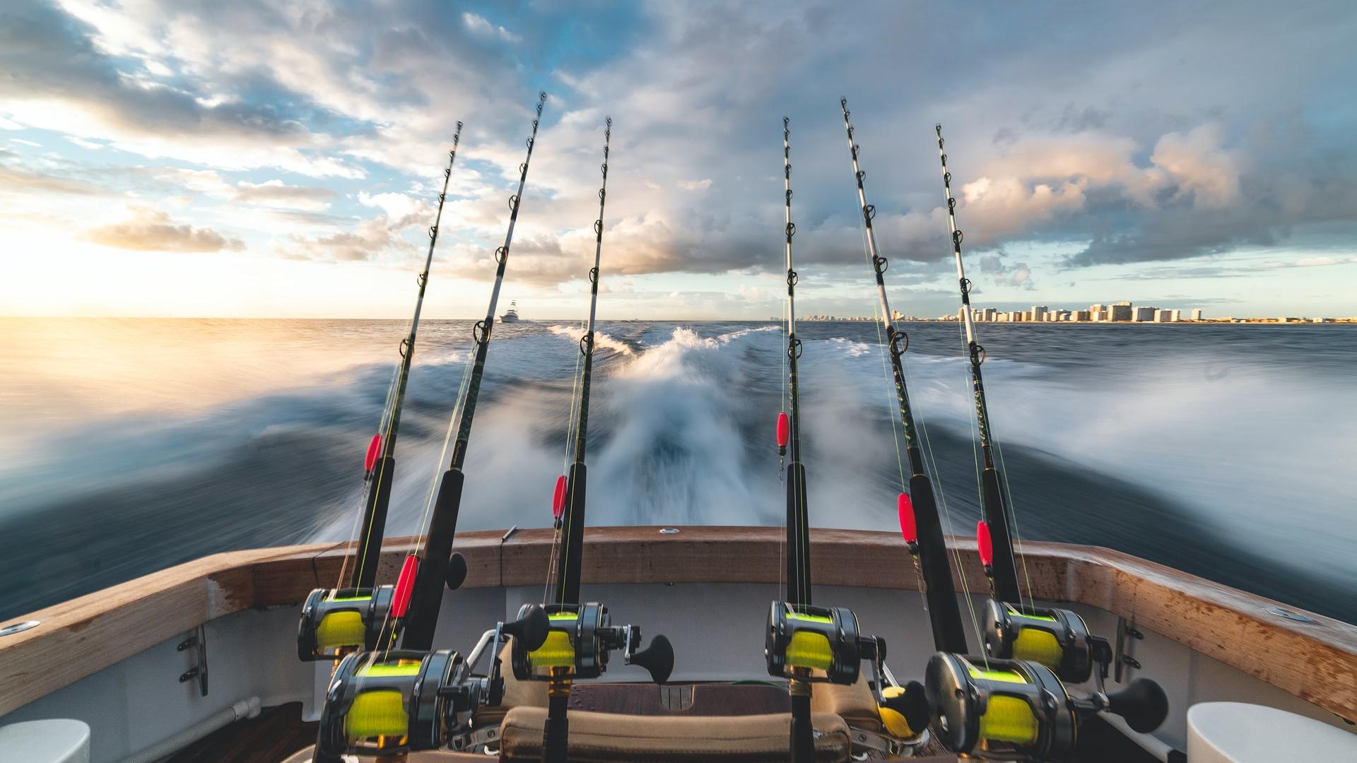 six black-and-yellow fishing rod in boat