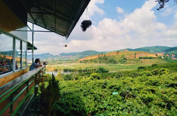 Cafetal en Chiriquí