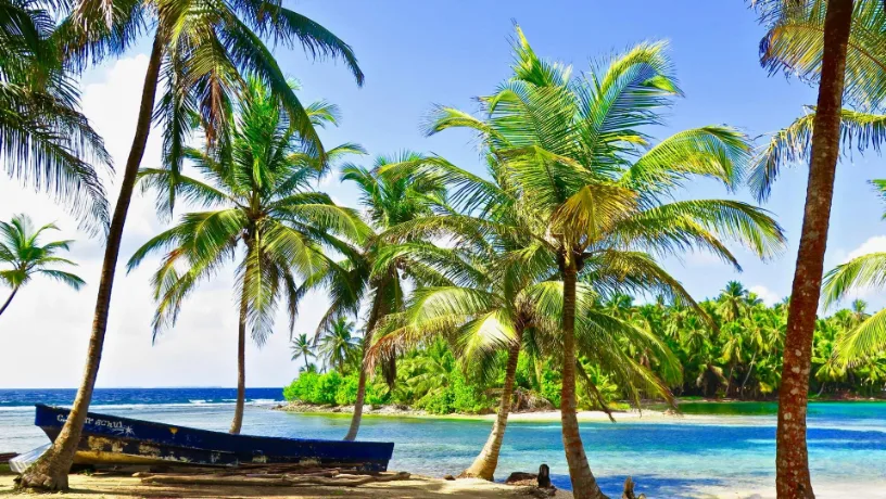 Isla con palmeras en Guna Yala